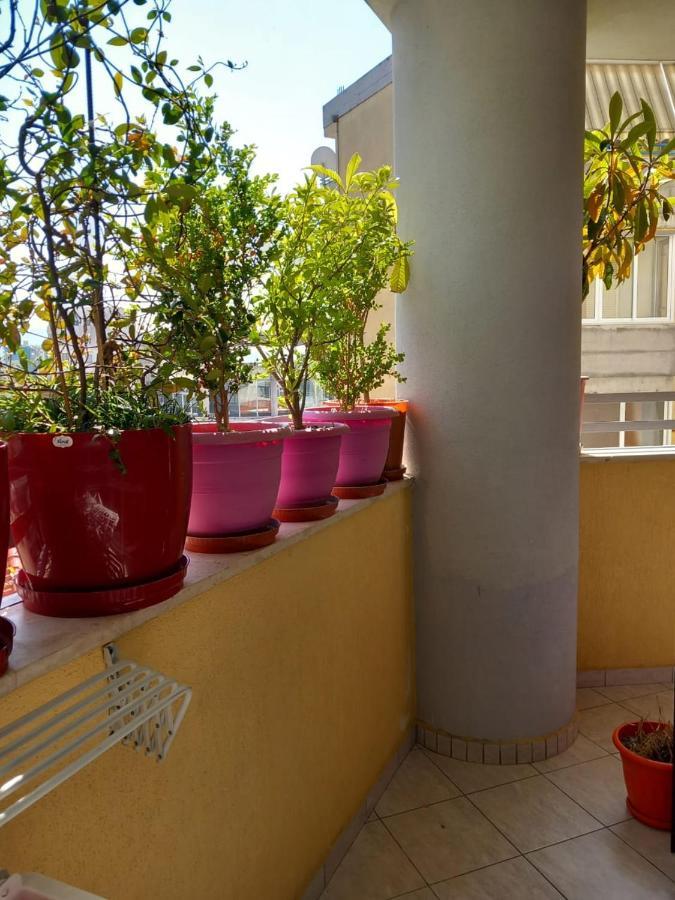 Holiday Center Apartment Shkoder Exterior photo